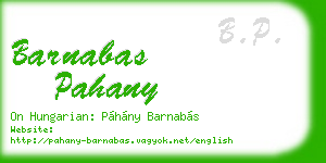 barnabas pahany business card