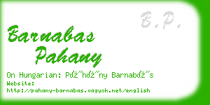 barnabas pahany business card